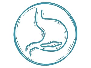 Digestive health support